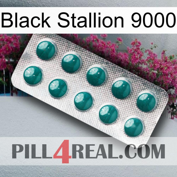 Black Stallion 9000 dapoxetine1.jpg